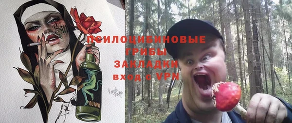 мдпв Богданович