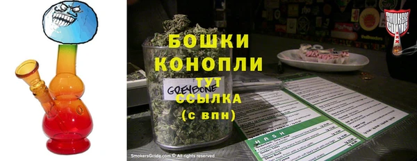 мдпв Богданович