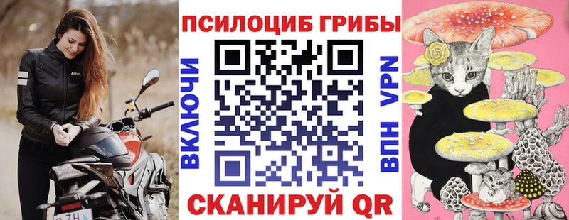 mega как зайти  Горняк  Псилоцибиновые грибы Psilocybe 